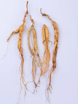 Slnko-sušené Changbai horských Wild podrastu Koreň ženšenu 15 rokov sušené wild lin xia ženšen