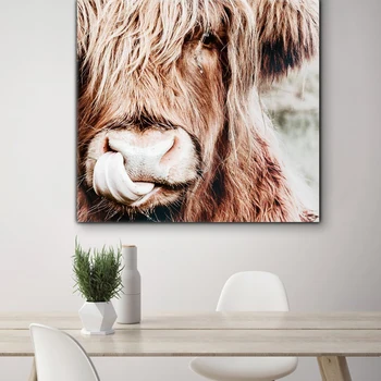 Nordic Highland Krava Plagát Dobytka Vytlačí Irvine Zvierat Umelecké Plátno na Maľovanie obrazov na Stenu pre Obývacia Izba Domova Bez Rámu