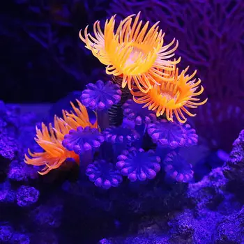 Podmorské akvárium Krajiny Ornament umelé coral dekor morský ježko Vody Trávy Živé Rastlinné akvárium dekorácie dodávky