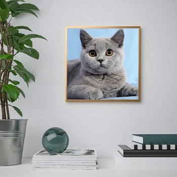 5D DIY Diamond Maľovanie Mačka Cross Stitch Plné Kolo /Štvorcových Zvieratá Diamond Výšivky Obraz Kamienky Mozaiky Domova