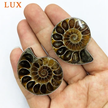 Veľkoobchod Ammonite Krúžok Ammonite Skamenelín prírodné shell šperky, drahokamy kamenné Kruhy Skutočné Skamenelín Strieborné pozlátené Nastaviteľné krúžky