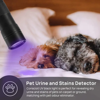 Prenosná UV Lampa 12 LED Čierne 395nm Ultra Violet Blacklight Detektor Pochodeň Svetla pre Psa Moču, Pet Škvrny, Bed Bug