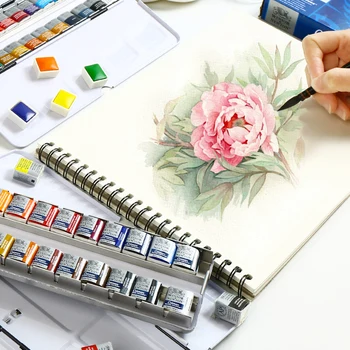 Winsor Newton Cotman Profesionálne Akvarel Pevné Pigment 12/24 Farby Tin Box Set Umelec Úrovni Akvarel