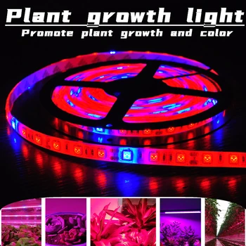 LED Pásy Rastlín Rastú svetiel 1m 2m 3m Vodotesné celé Spektrum Kvet phyto lampa DC 5V Červené a Modré Svetlo Bar