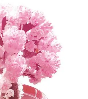1PC 2019 90x80mm Magicky Papier Sakura Crystal Stromy Magic Rastúci Strom Japonsko Ploche Cherry Blossom Vzdelávacie Hračky Noviniek