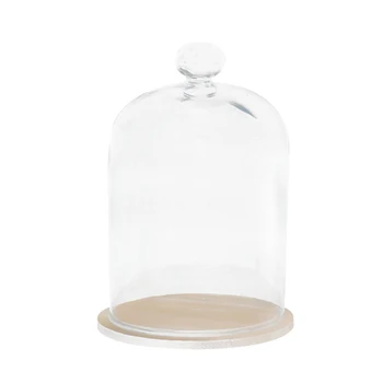 Home Decor Vázy Sklo Kvet Displej Cloche Bell Jar Dome Nesmrteľný Zachovanie + Drevený Základ Večný Kvet Sklenený Kryt